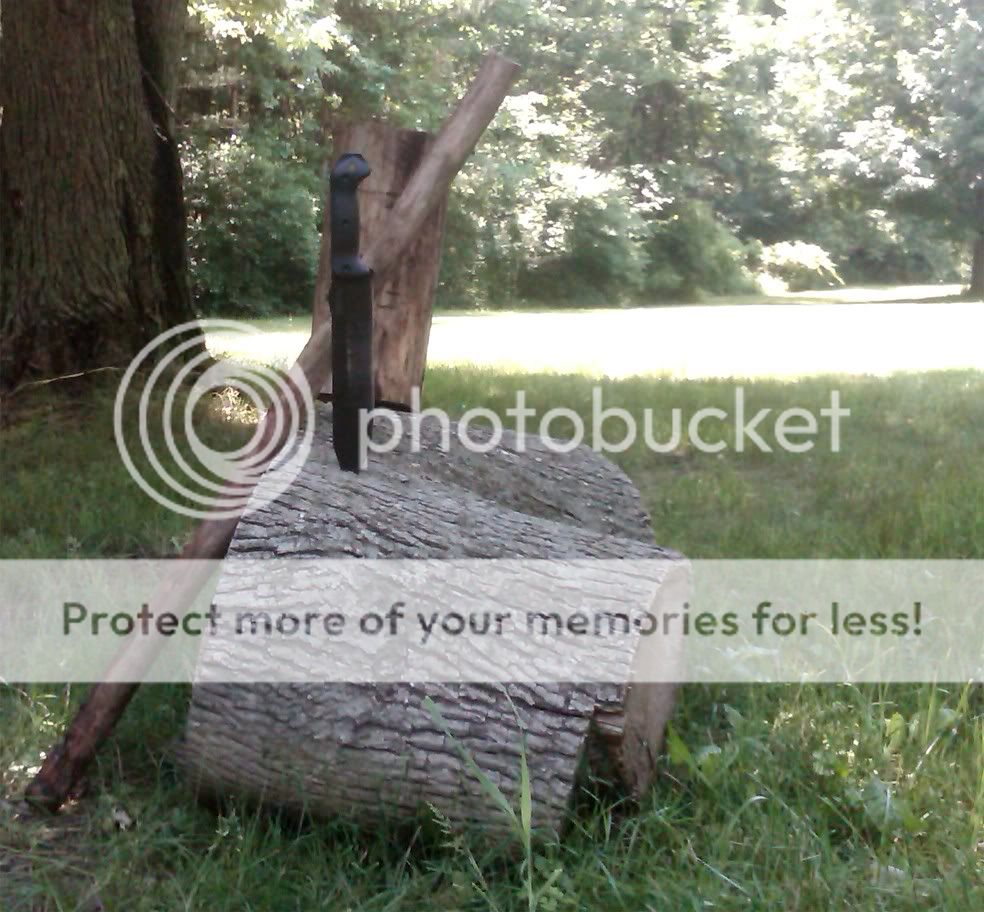 20110611_p01.jpg