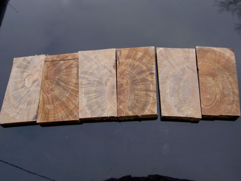 burl.jpg