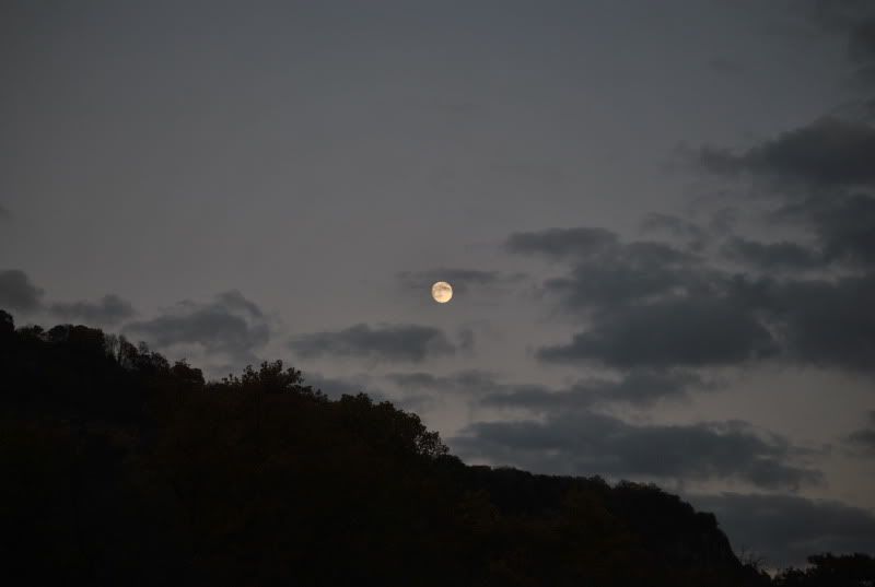 DSC_8514.jpg