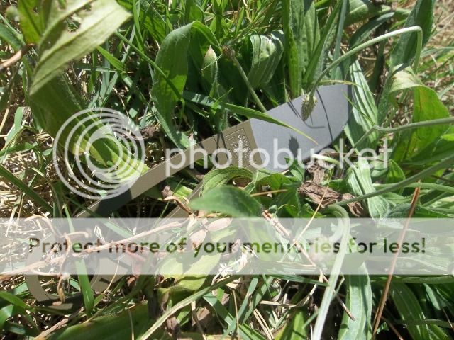 100_2734.jpg