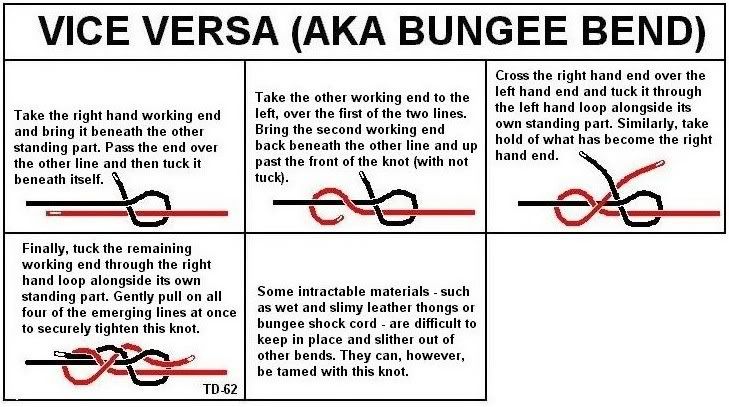 ViceVersaAKABungeeBend-1.jpg