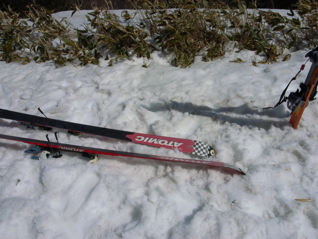2010.03.20.r0020643.jpg