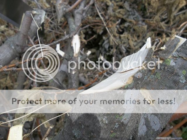 100_2224.jpg