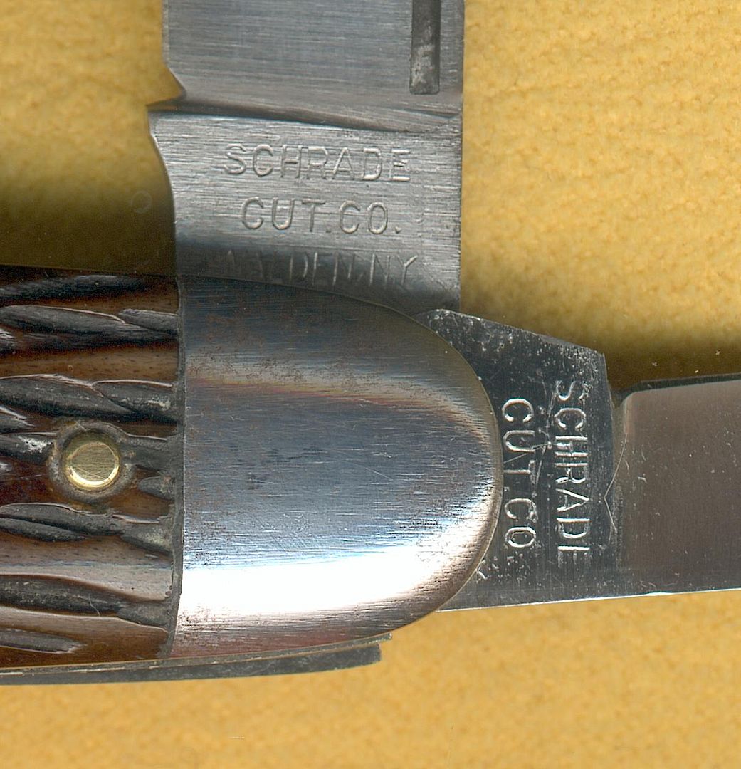 SCC19452.jpg
