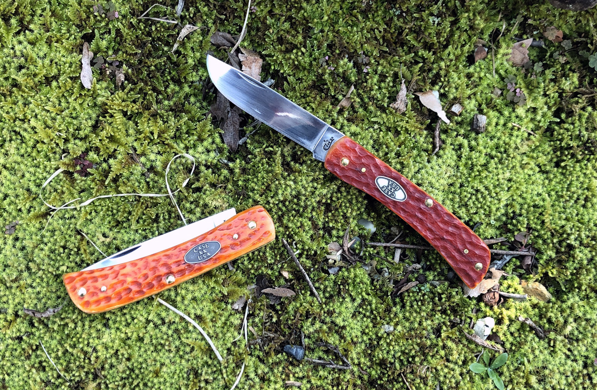 Case_moss.JPG