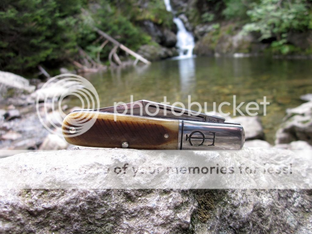 IMG_1375.jpg~original