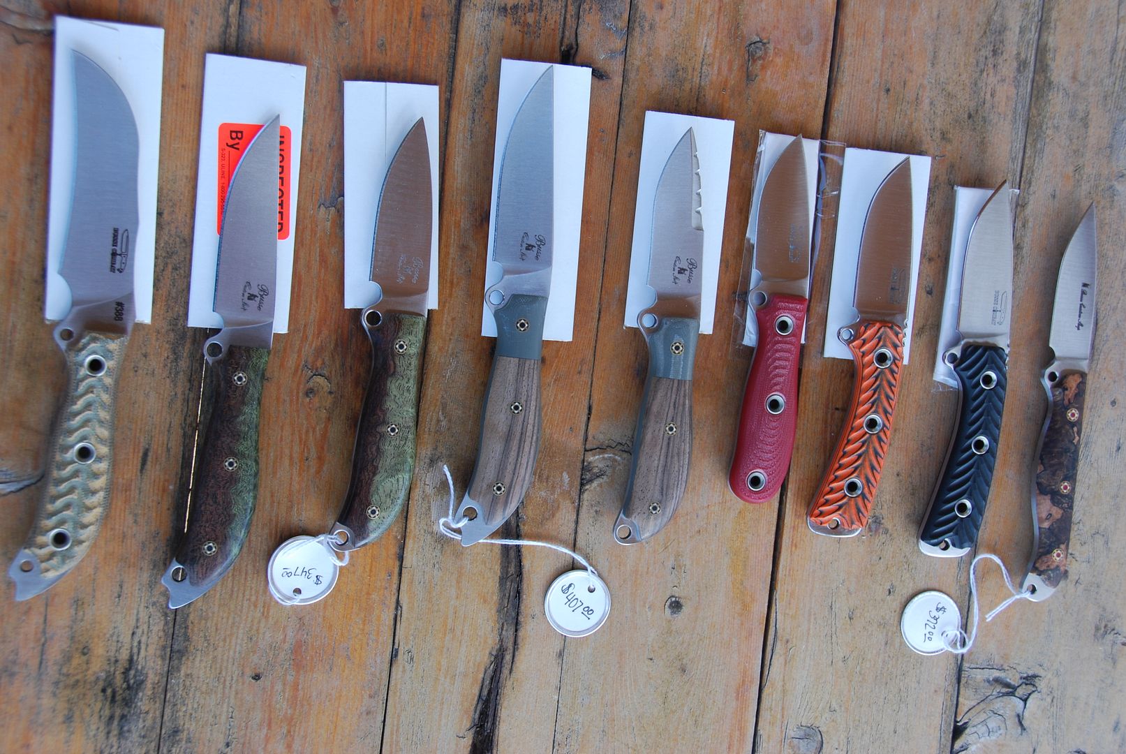 Busse005-1.jpg