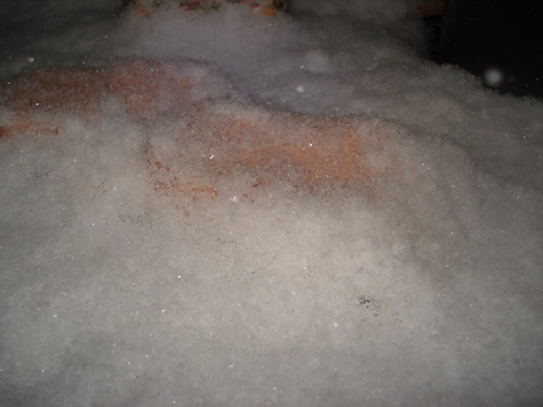 12012203526_b176158f2a.jpg