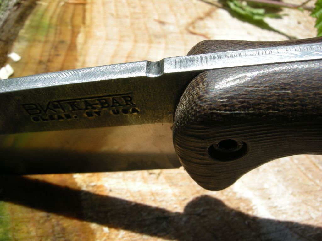 DSCN1307.jpg