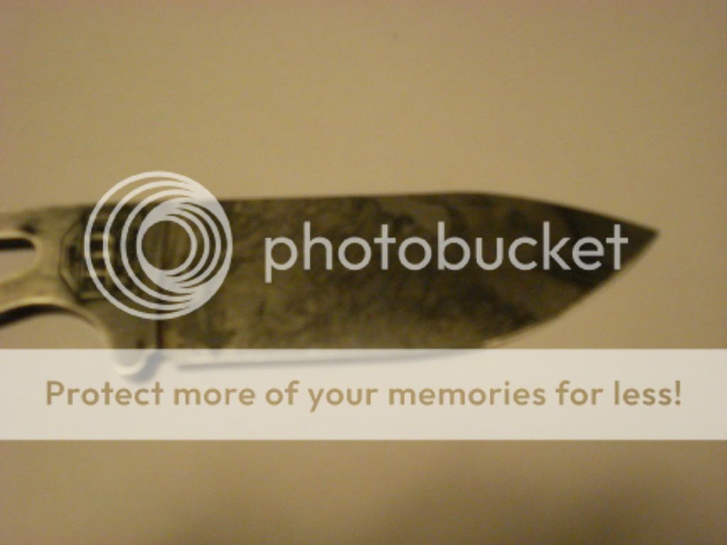 DSC03095.jpg