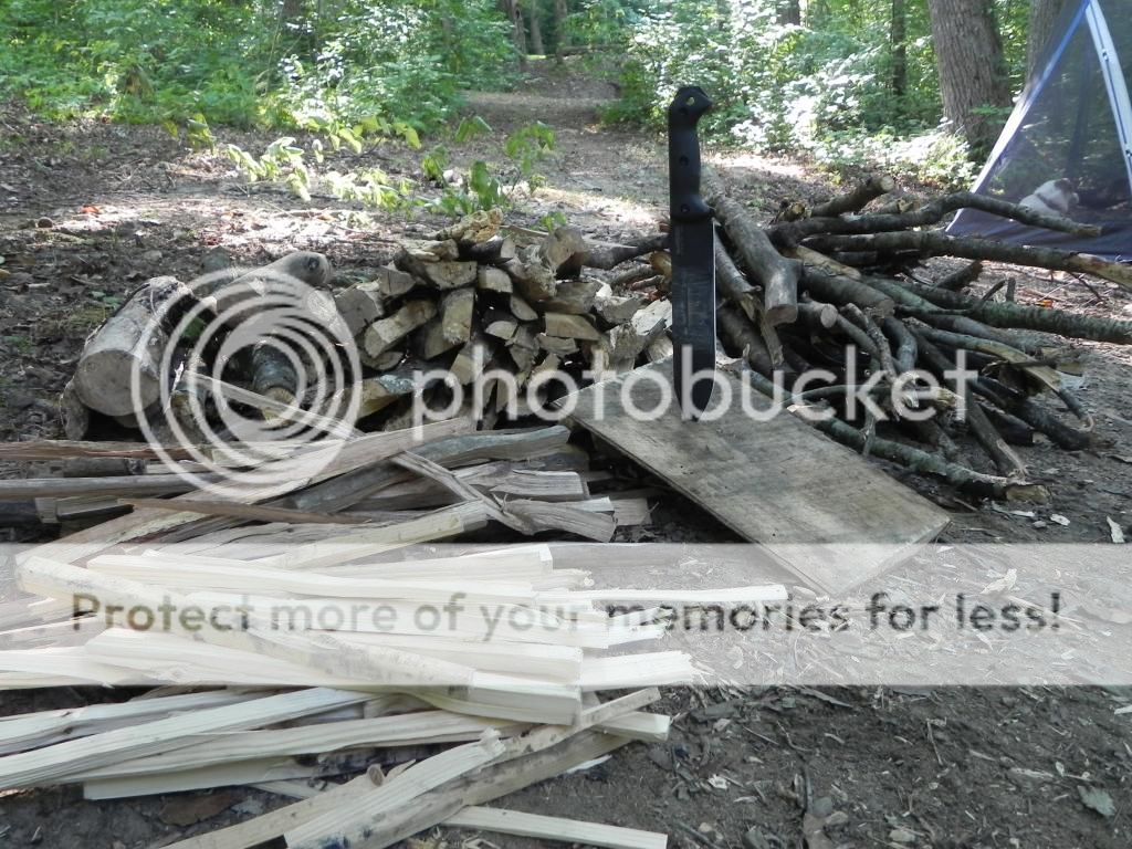 DSCN2383_zpsfea68e21.jpg
