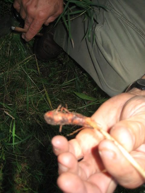survivaltrip106.jpg