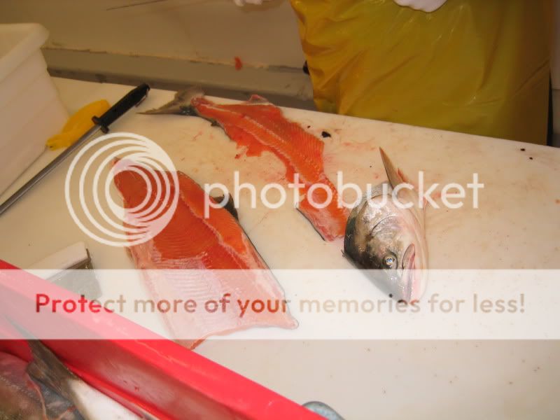 FilletedChar.jpg