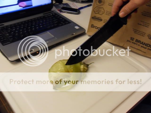 greenchilis003.jpg