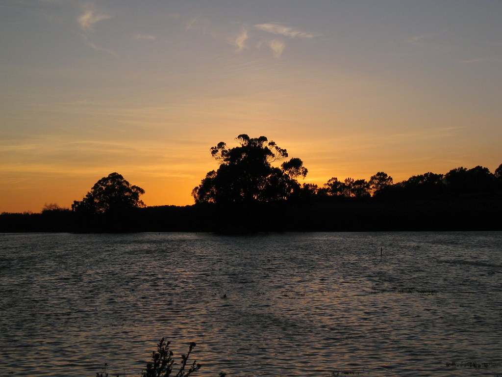 2320372936_2faf74e90c_b.jpg
