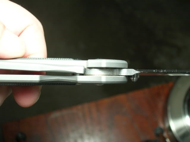 DSCN1798.jpg