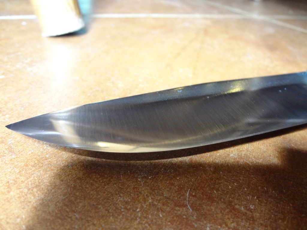 DSC00448.jpg