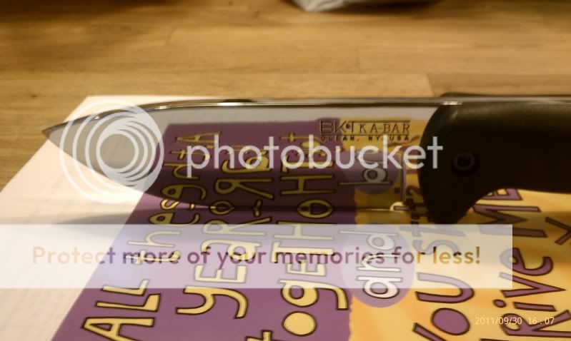 IMAG0391.jpg