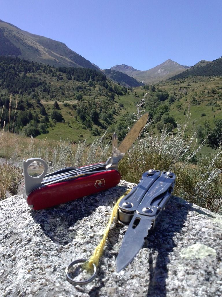 CAM03257_zpsf3ulanvq.jpg