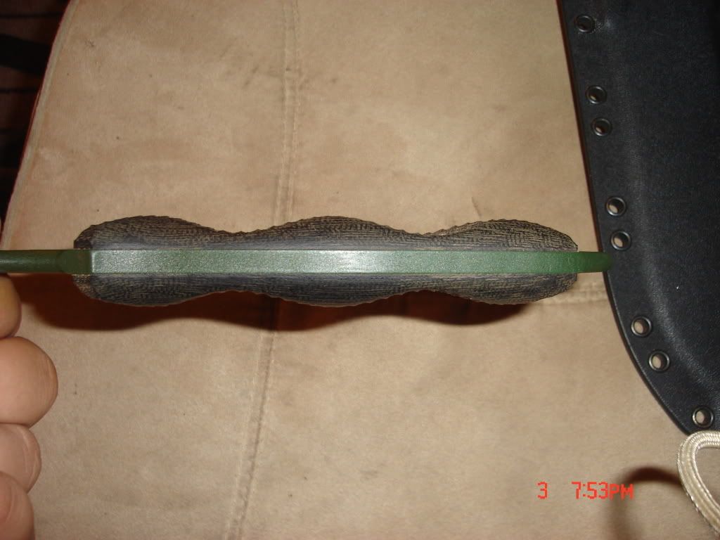 bussenmsfnotrade008.jpg