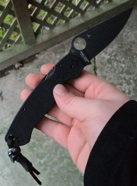 para2.jpg