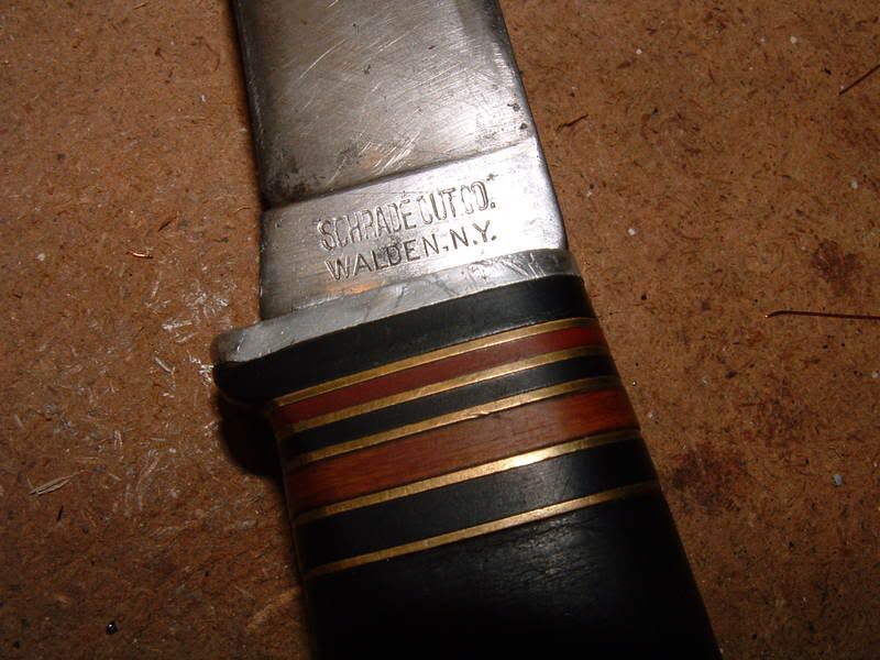 SCC365003.jpg