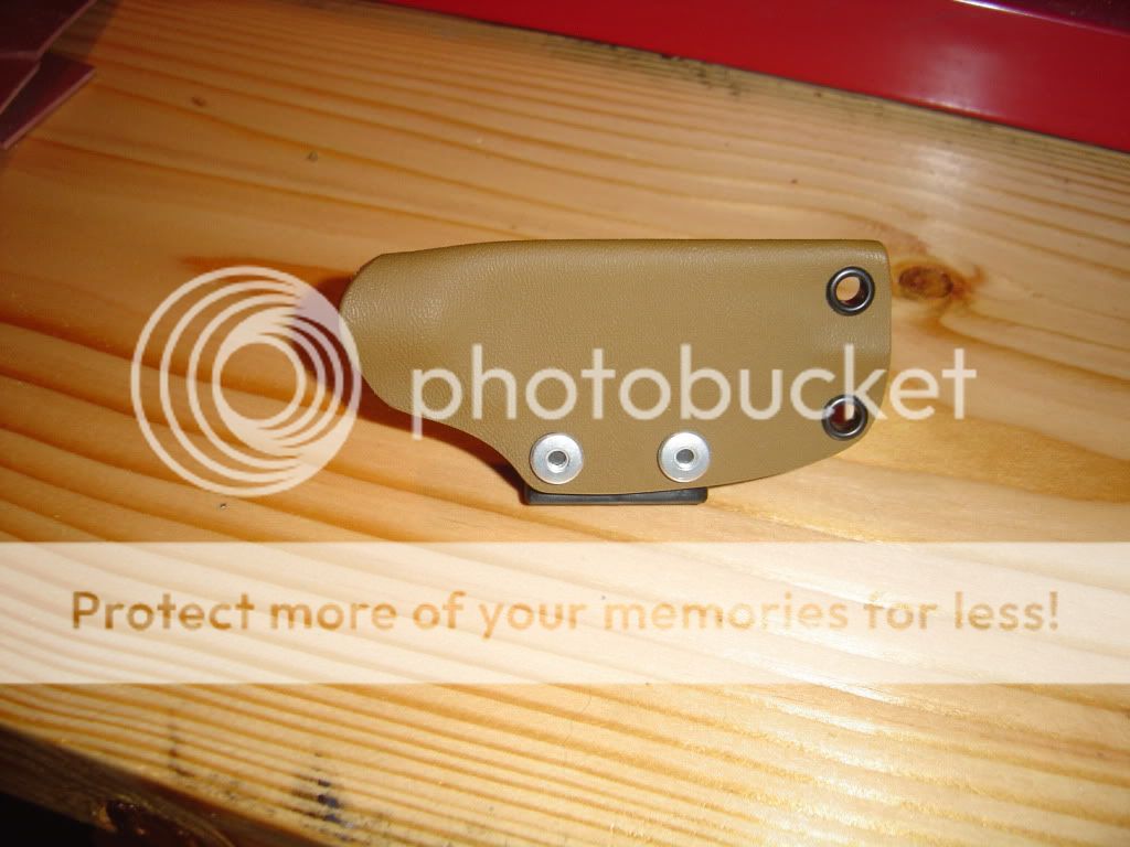 DSC01584.jpg