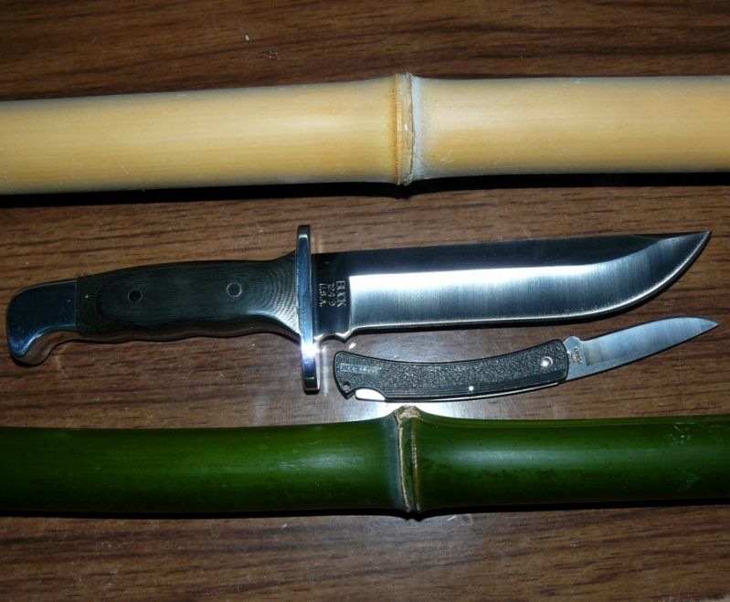 TwoFavoriteBuckKnives07-07-2012005.jpg