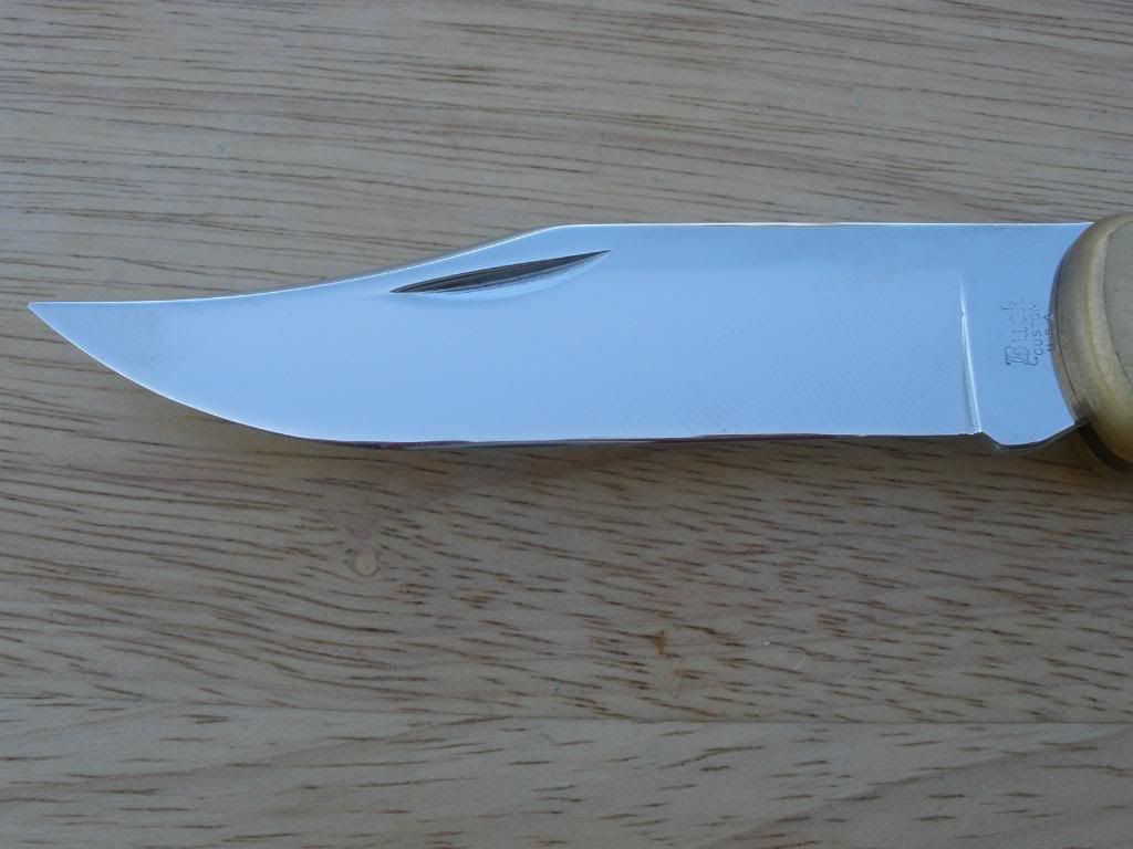 P3170677.jpg
