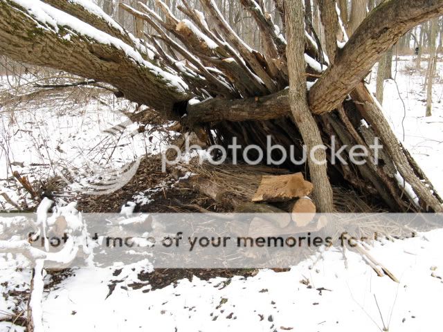 IMG_1996.jpg