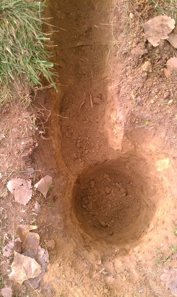 IMAG0248.jpg