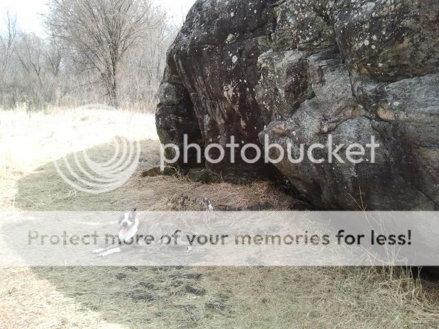2012-03-17135422.jpg