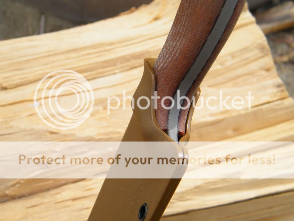 DSCF2372.jpg
