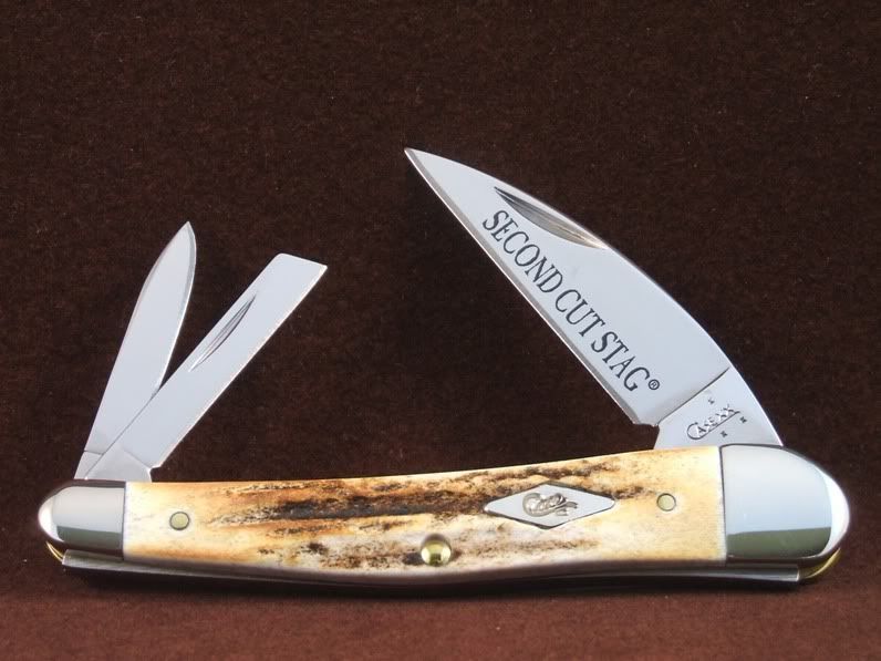 XXCA-5676SeahorseWhittler-1.jpg