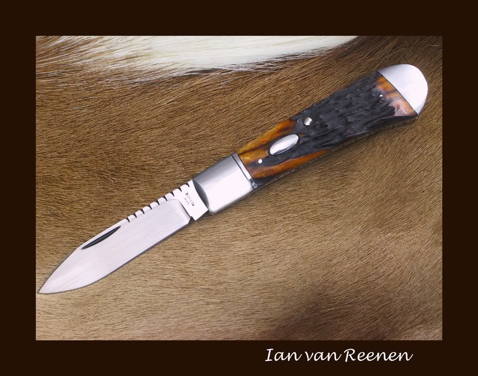 Trapper01122010web.jpg