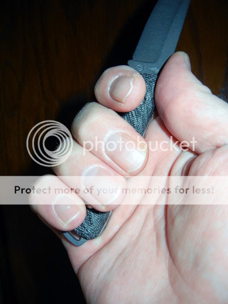 bhksmworkhorse2_zps2e902ad2.jpg