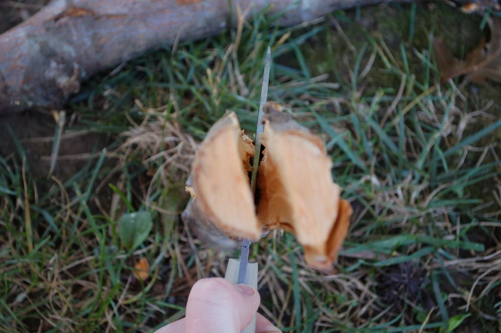DSC_4265.jpg