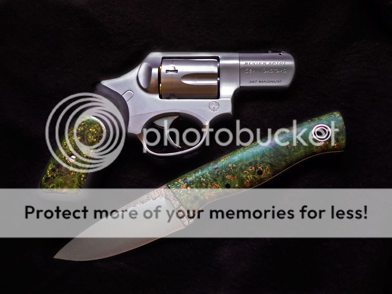 Sp10Fiddle03_zps734fafa9.jpg