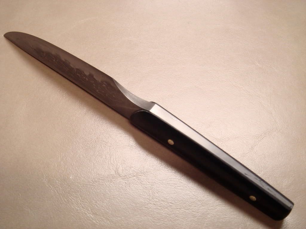 DSC02608.jpg