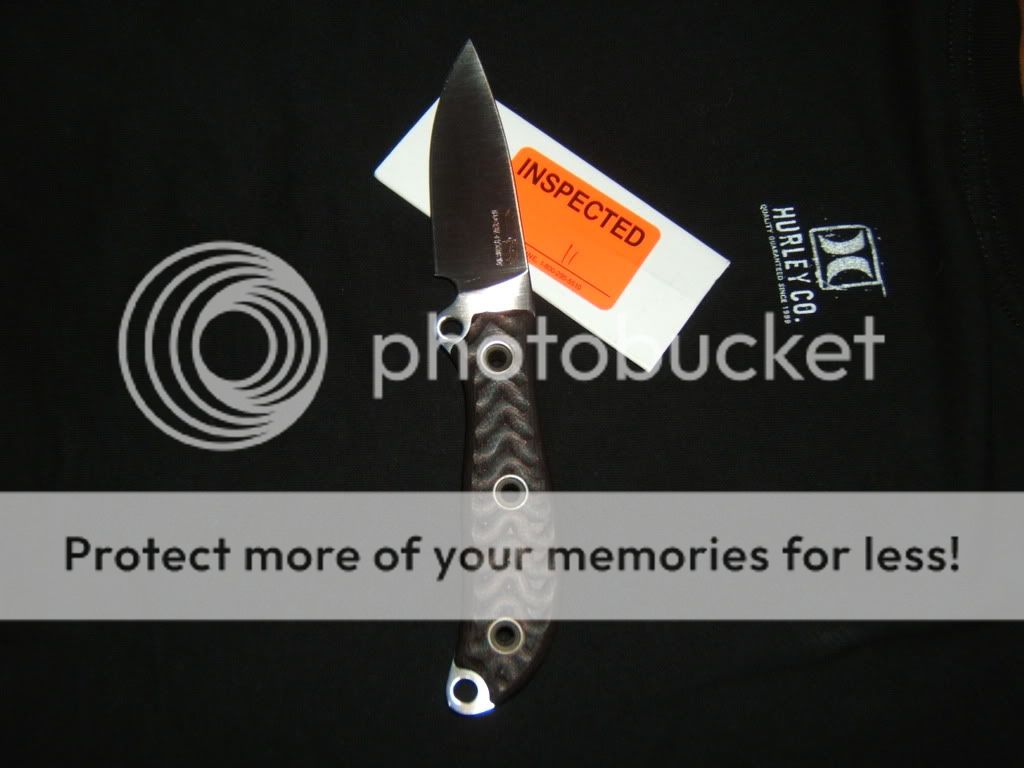 2008_1105SR_BAD_SMF0005.jpg