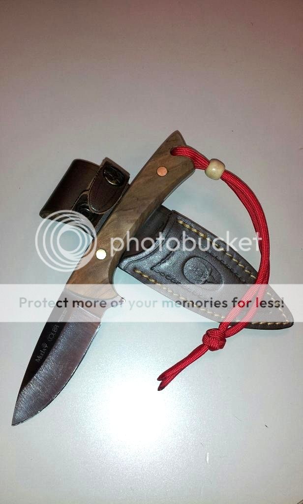 col2_zps1922b2df.jpg