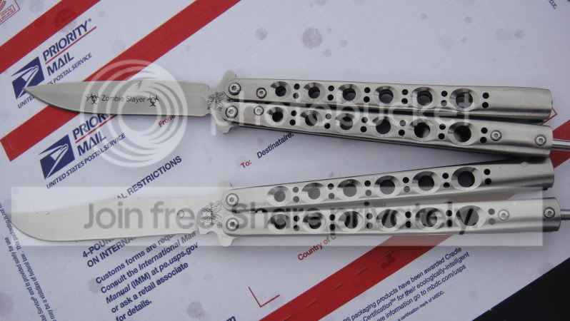 343705d5.jpg