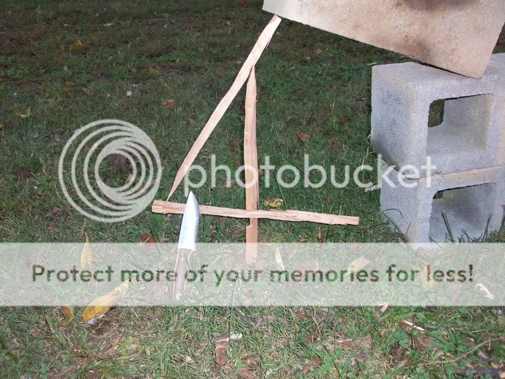 100_1360.jpg