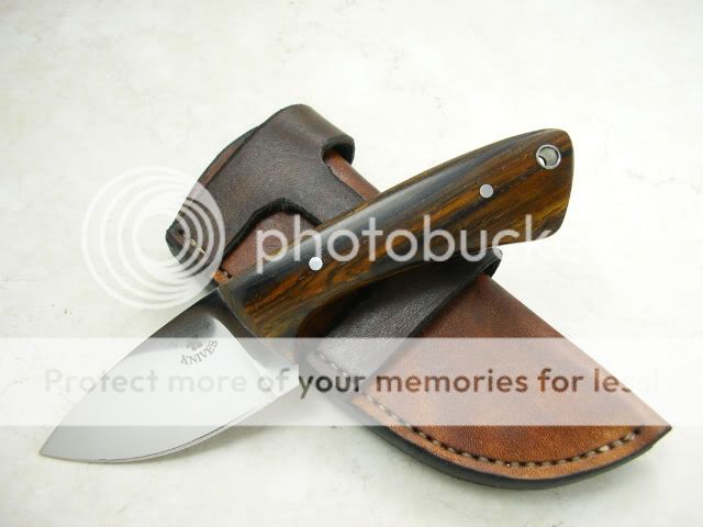 IMGP1274.jpg