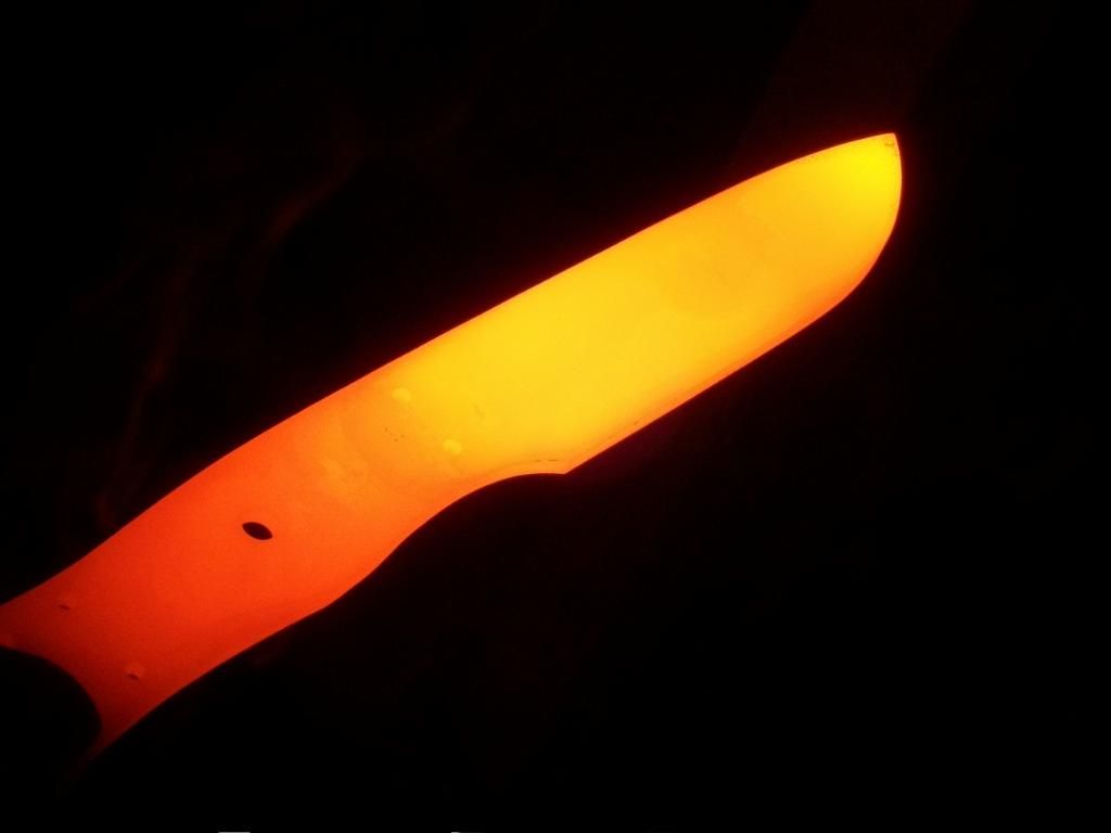 fishyforge012.jpg