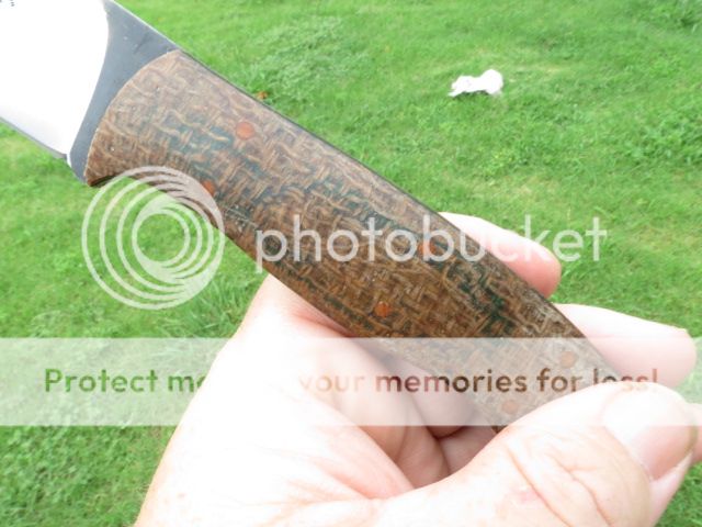 IMG_1752_zps4f7f47af.jpg