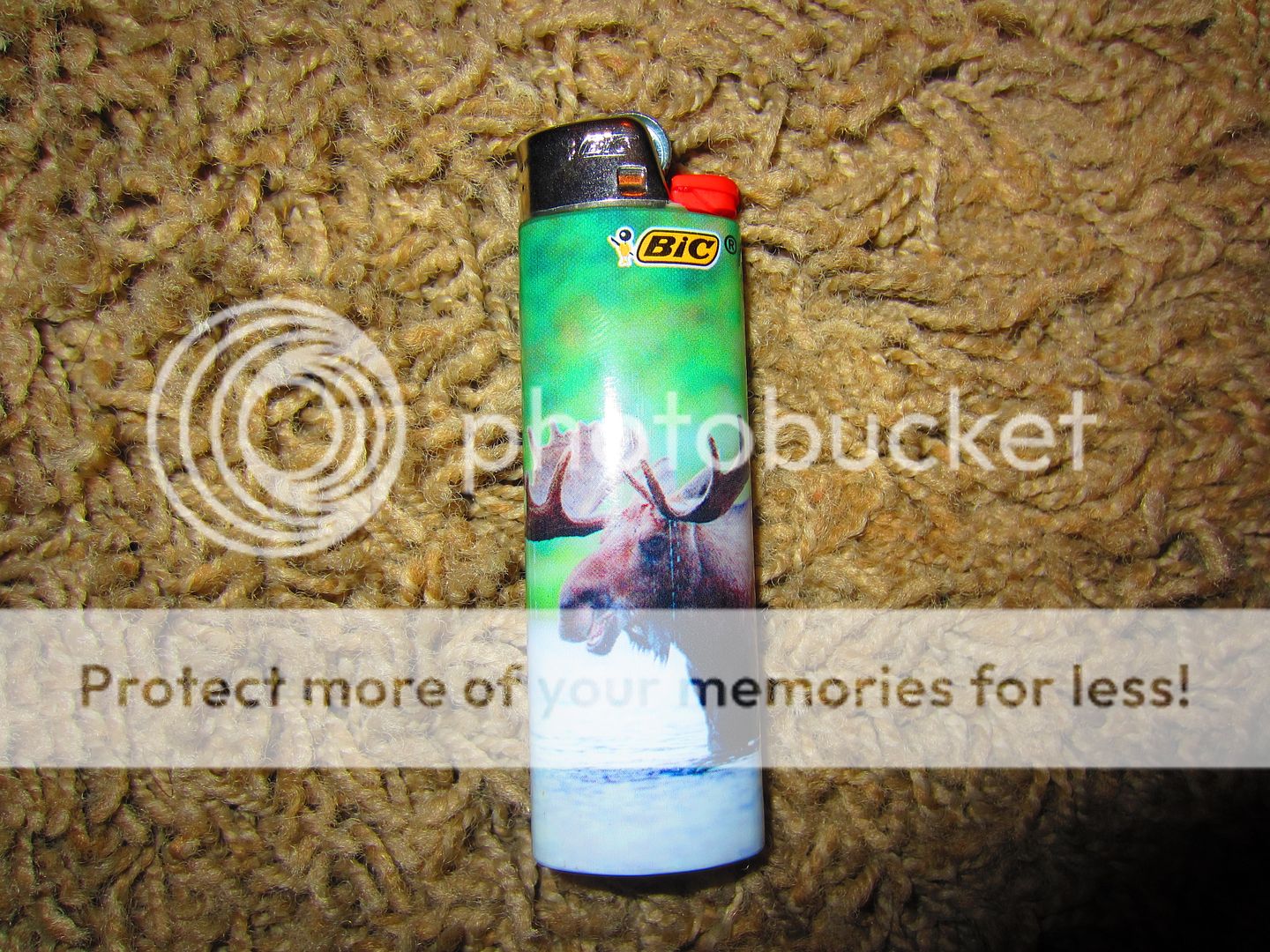 IMG_0238_zpse863224f.jpg