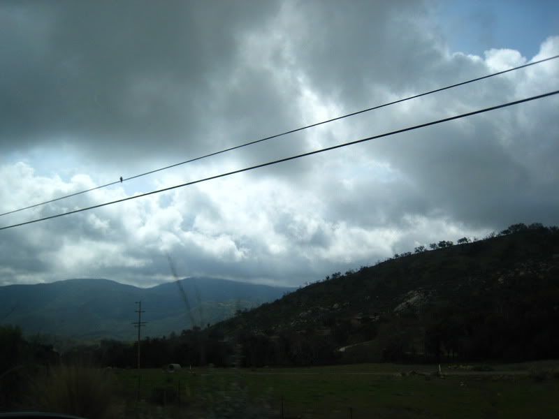 IMG_0005.jpg