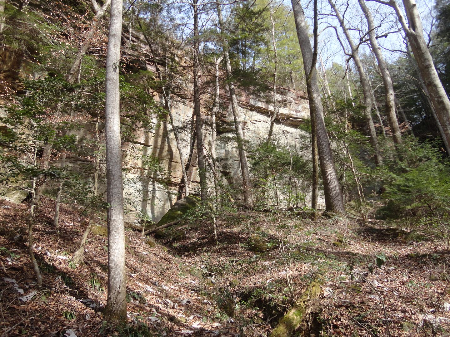 DSC08297_zpsohhg05ow.jpg