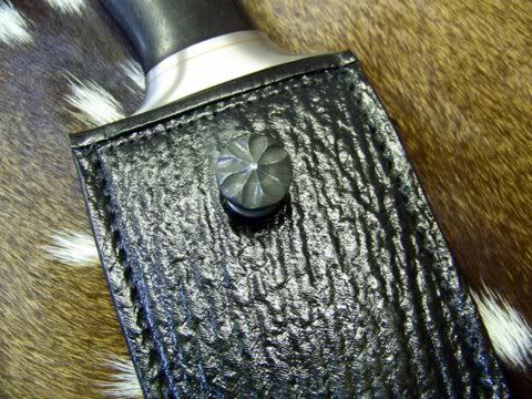 100_1174.jpg
